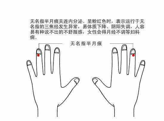 手指月牙代表什么意思