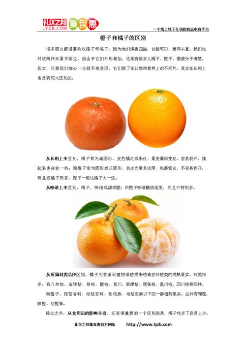 橙子是热性还是凉性的相关图片